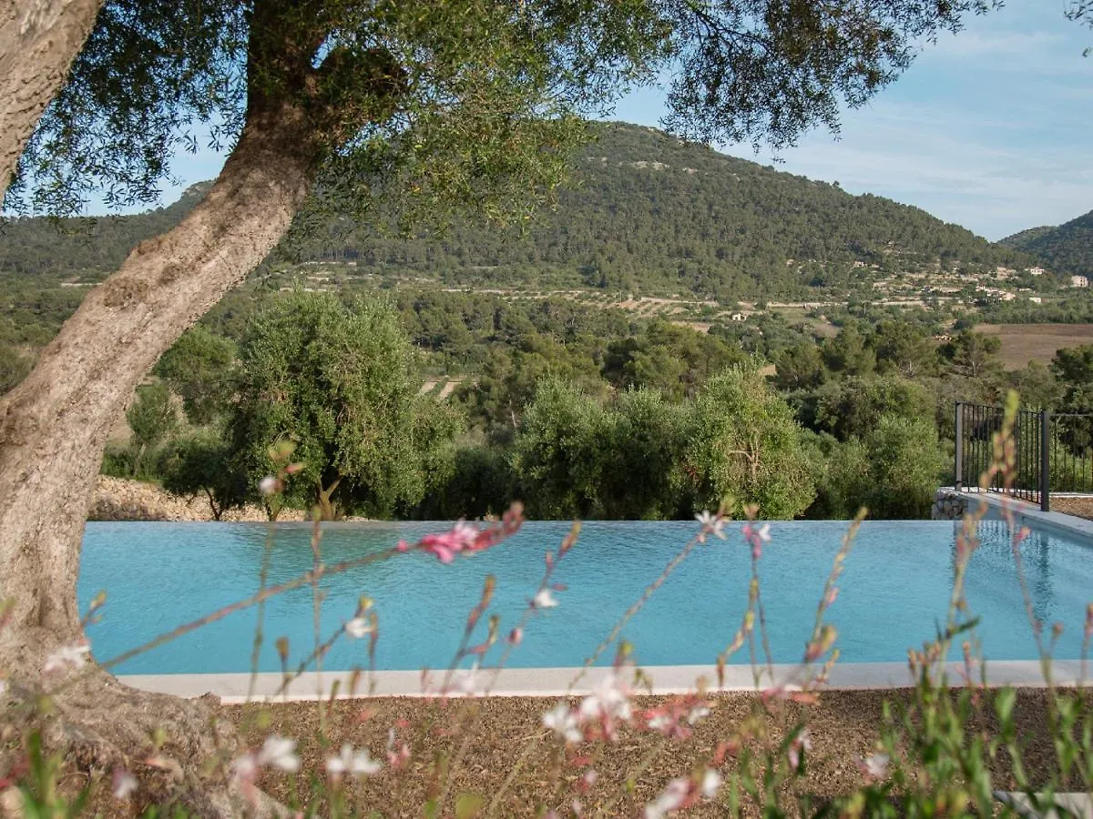 ***** Отель Fincahotel Treurer - Olive Grove & Grand House - Adults Only Альгайда Испания