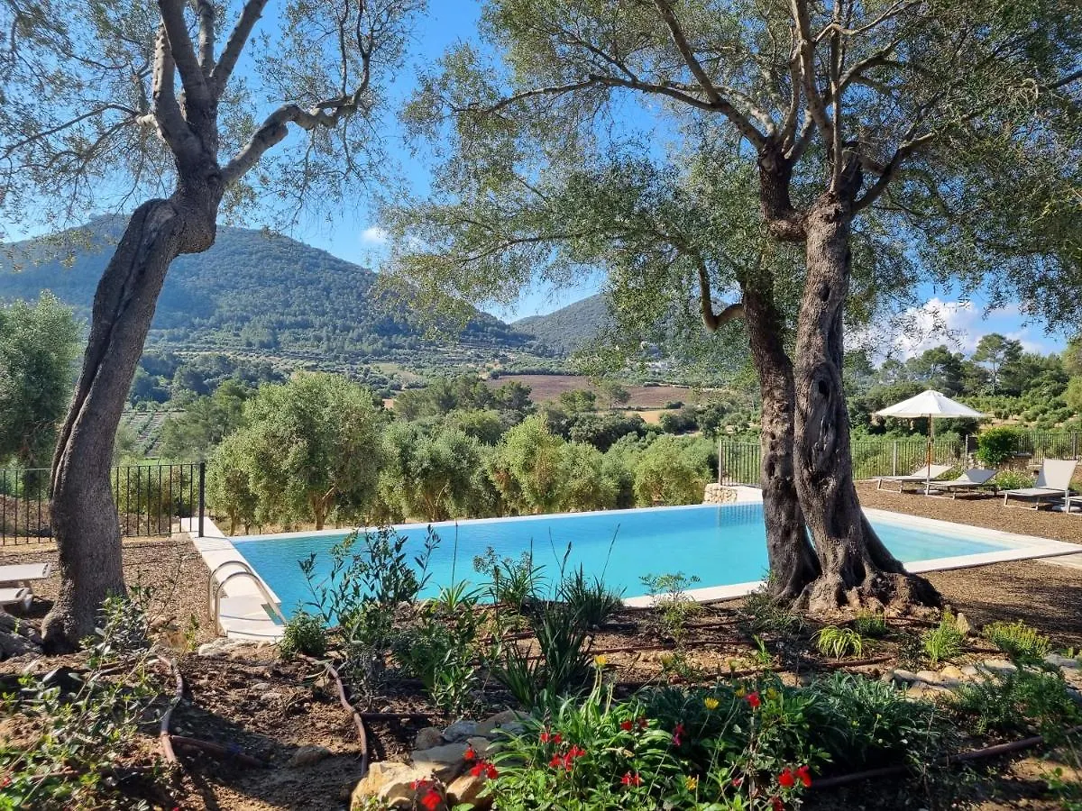 Hotel Fincahotel Treurer - Olive Grove & Grand House - Adults Only Algaida