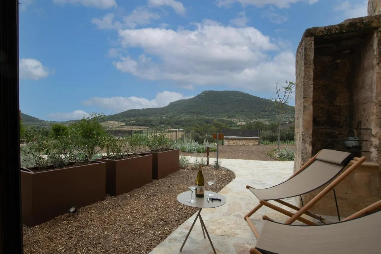 Fincahotel Treurer - Olive Grove & Grand House - Adults Only Algaida  Hotel