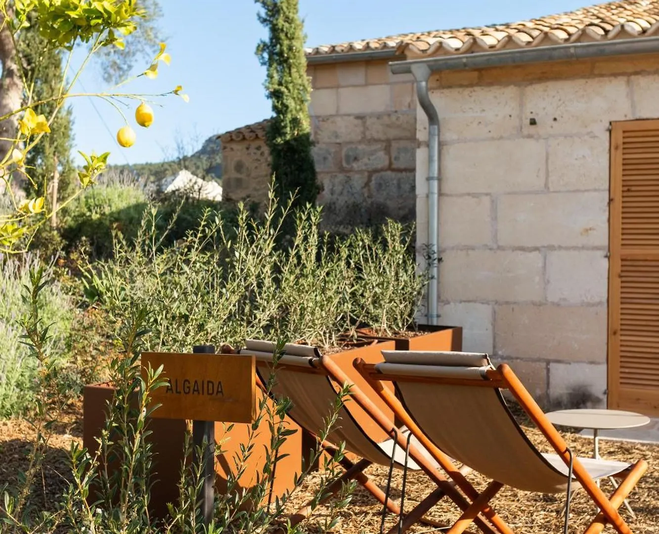 Fincahotel Treurer - Olive Grove & Grand House - Adults Only Algaida  Algaida (Mallorca)