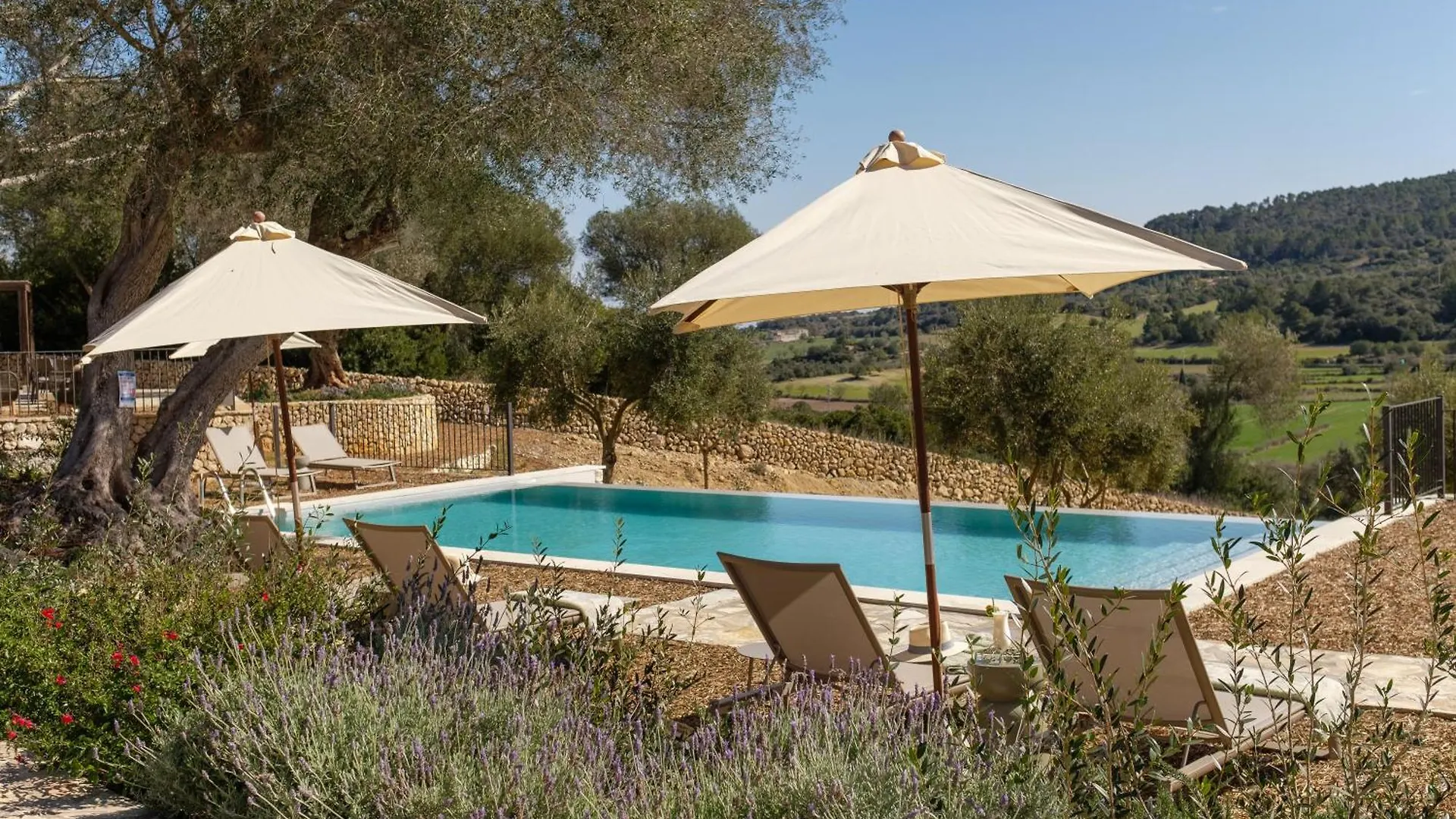 Fincahotel Treurer - Olive Grove & Grand House - Adults Only Algaida  Algaida (Mallorca)